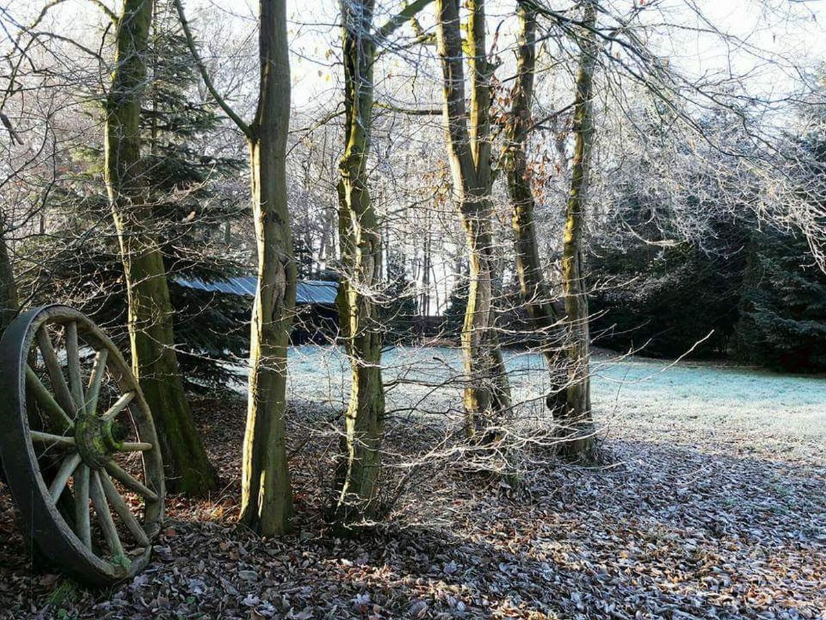 Zur Schanze Holtgast-Apen Bagian luar foto